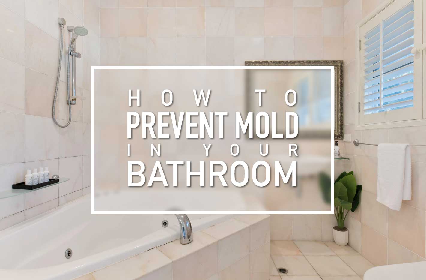 Mold In Your Bathroom